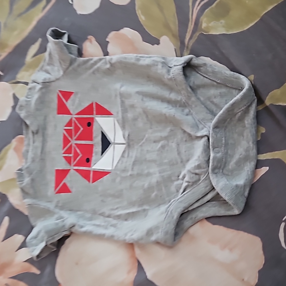 Baby onesie